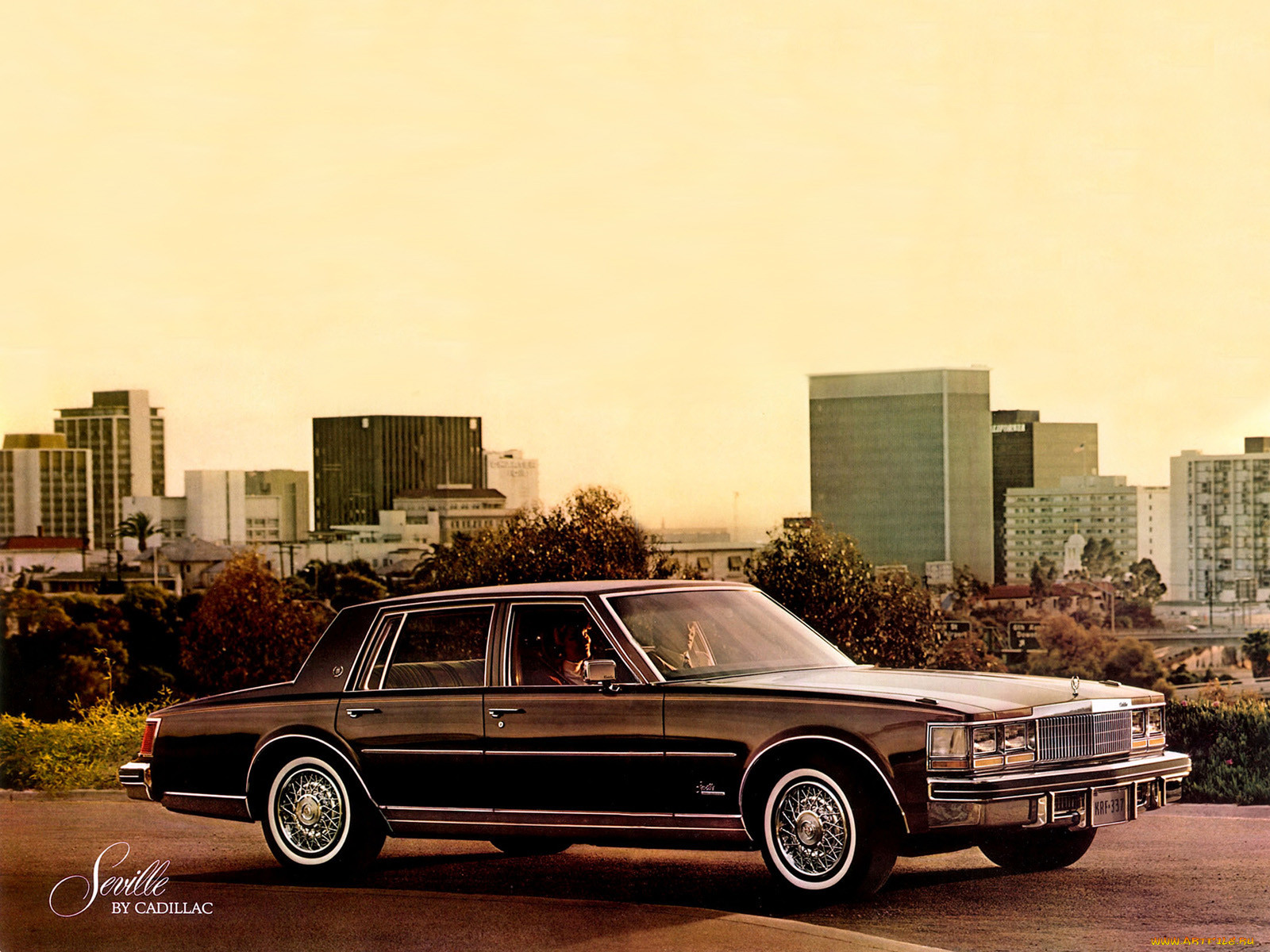 , cadillac